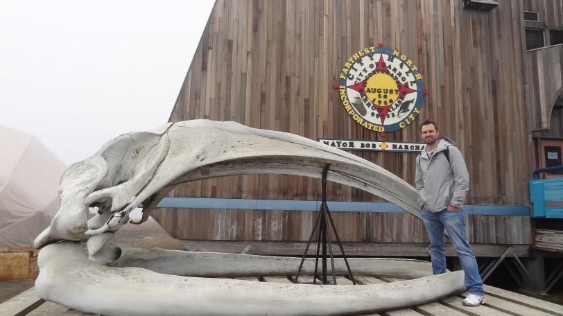 Whale skull at city hall